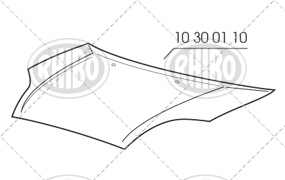 10 30 01 10