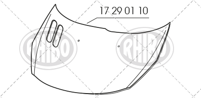 17 29 01 10
