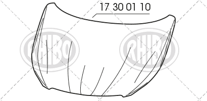 17 30 01 10