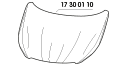 17 30 01 10