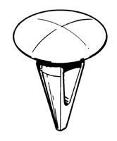 BO.190355M