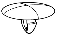 BO.191325S