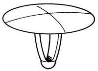 BO.191382M