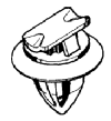 FRP.240518S